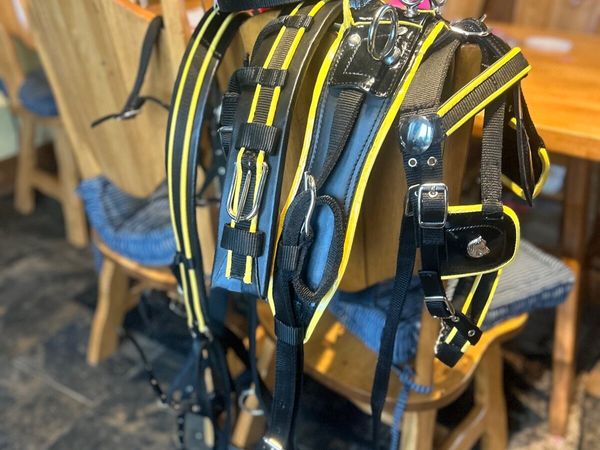 Bran new Shetland harness - Main image