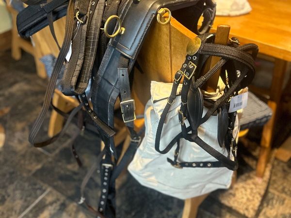 Bran new webbing Shetland harness - Main image