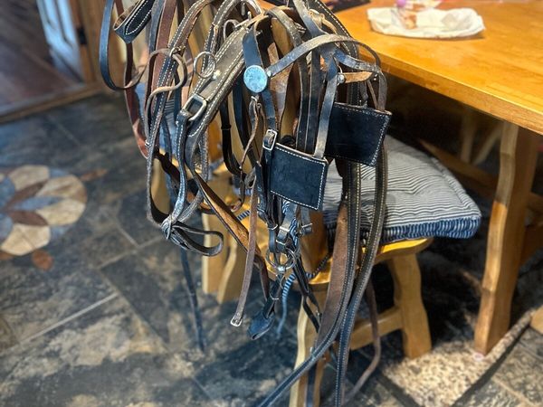 Leather pony harness - Main image