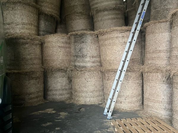 Quality Hay for sale - Main image
