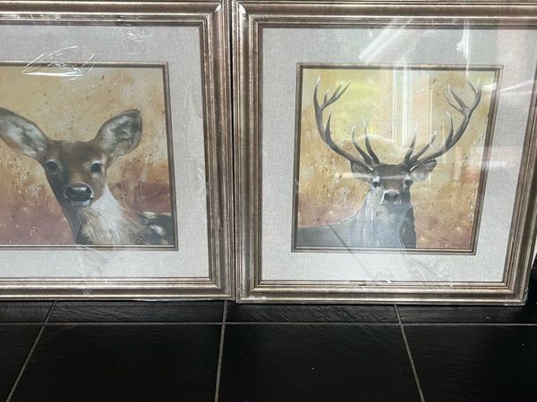 2 framed prints - Main image