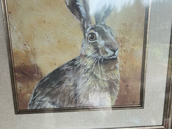 Framed hare print - Main image