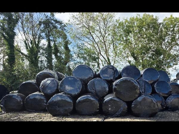 Round Bales - Main image