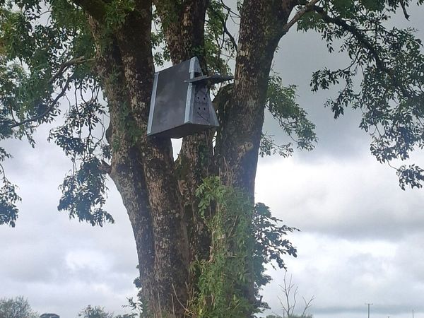 Outdoor Barn Owl Nest Box - Main image