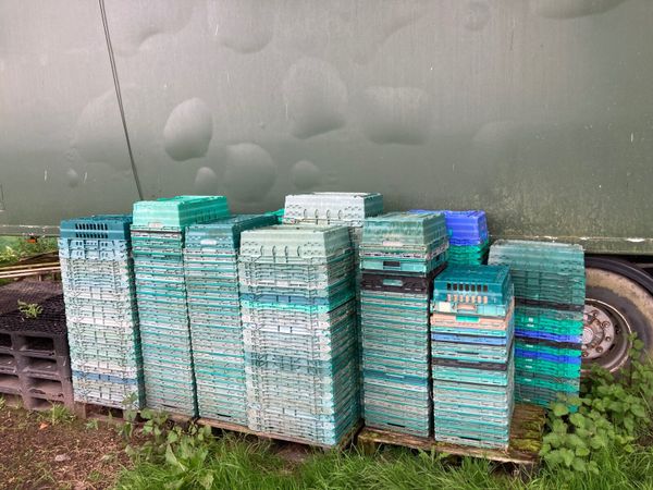 Stackable plastic crates - Main image