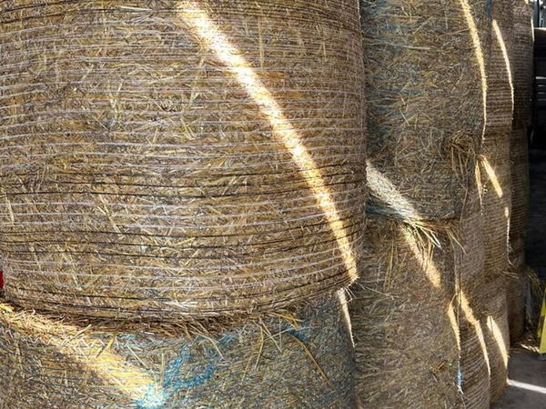 Straw - Main image