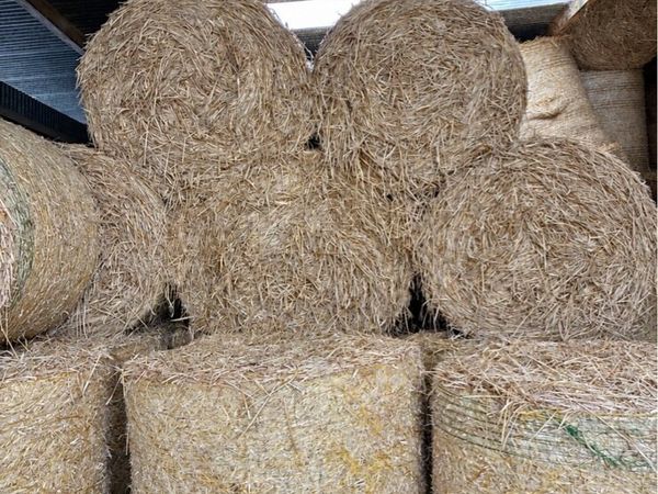 Straw - Main image