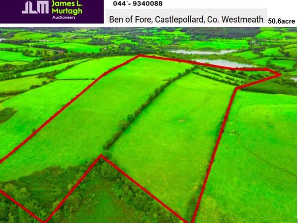 50.6 Acre Non-Residential  Farm ,   Castlepollard. - Main image