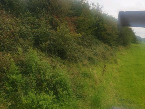 Hedge Cutting - Main image