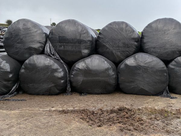 Silage - Main image