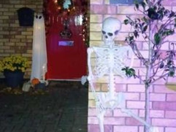 Life size skeleton - Main image