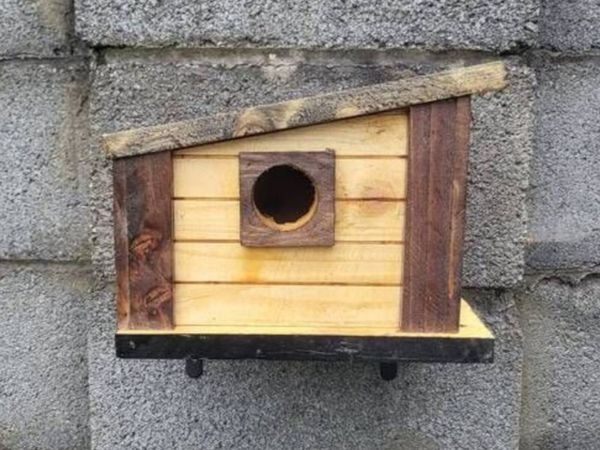 Bird house - Main image