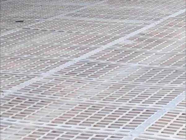 Sheep slats / calf slats - Main image