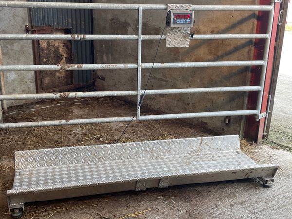 Cattle weighing Scale - Main image
