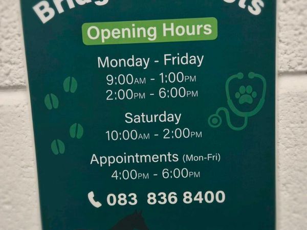 Bridgetown Vets - Main image