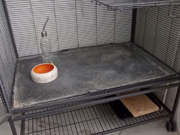 Animal Cage - Main image