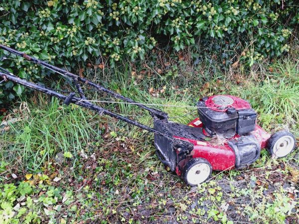 Lawnmower - Main image