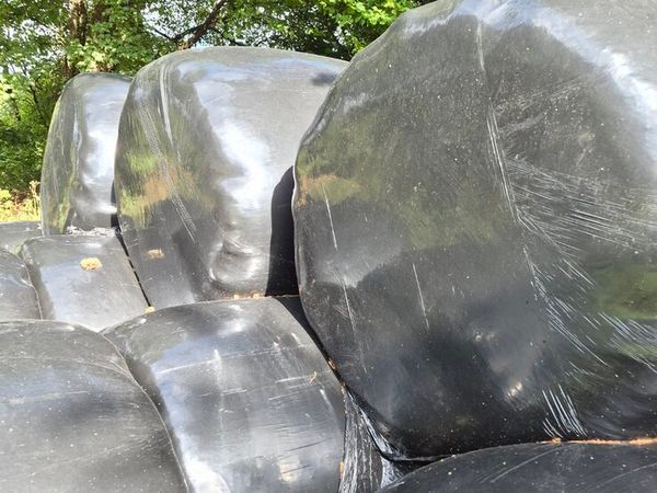 Silage for sale - Main image
