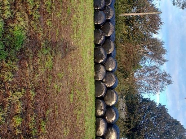 Bales of silage - Main image