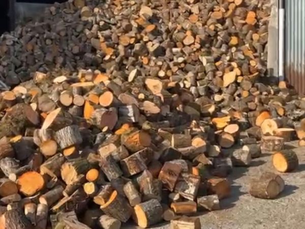 Firewood - Main image