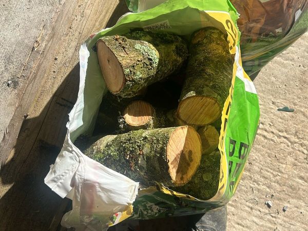 Bags of ash firewood - Main image