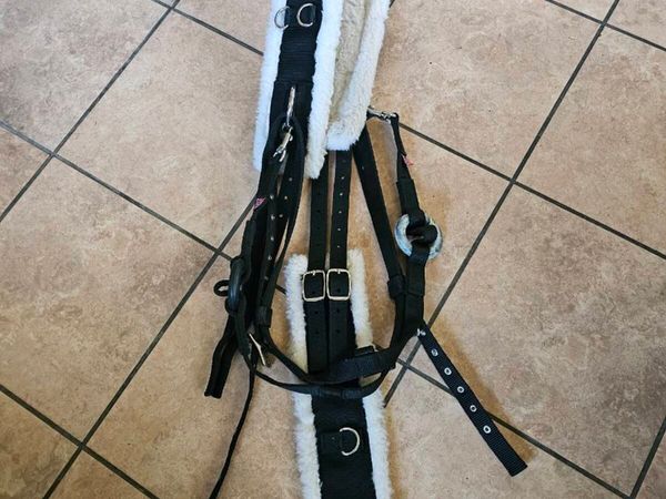 Full Size Breaking Roller and Side Reins - Main image