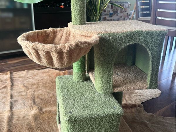 Cat house - Main image