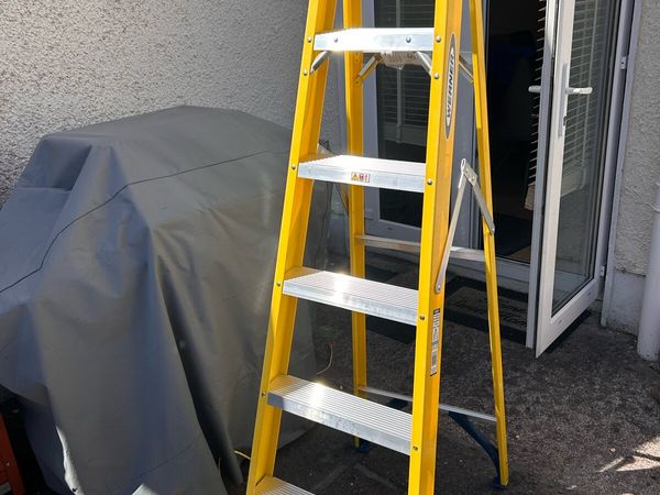 Werner ladder - Main image