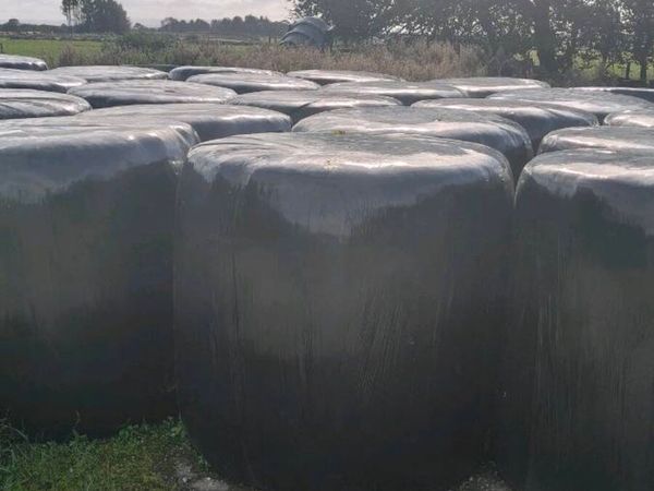 Silage - Main image