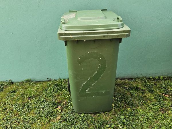 Wheelie Bin - Main image