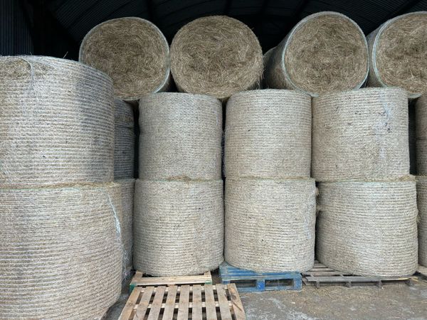 Organic Round/square bales of hay, organic cattle - Main image