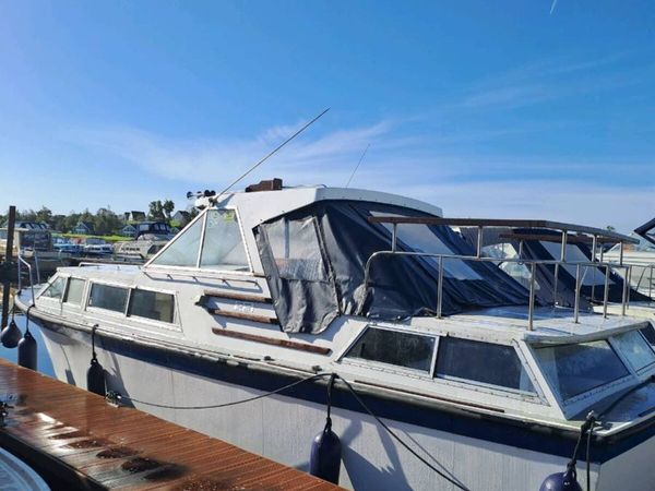 Jolene is for sale - Main image