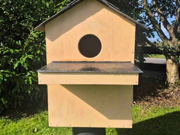 Bespoke Barn Owl Box - Main image