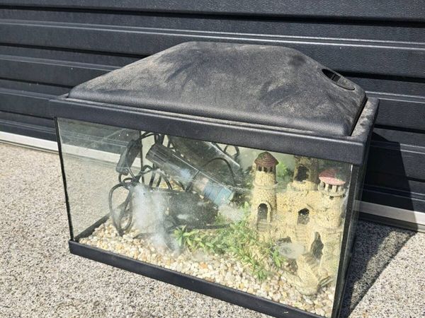 Fish Tank - Main image