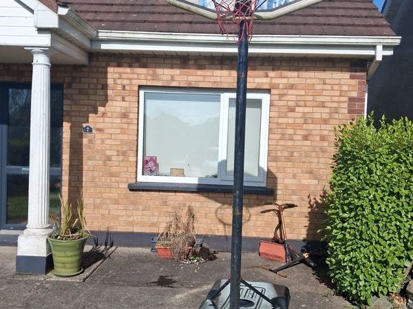 Basketball hoop Limerick - Main image