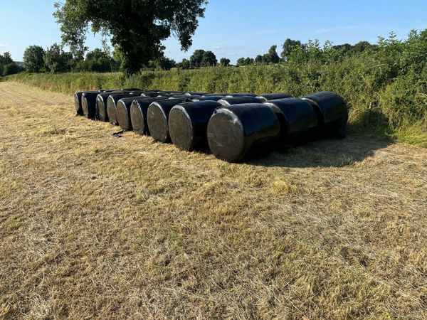 Haylage - Main image