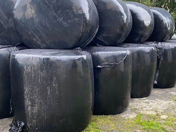 Silage Bales - Main image