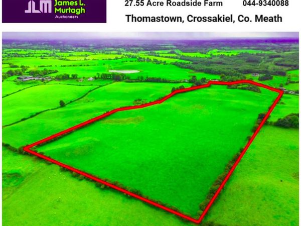 27.55 Acre Farm, Thomastown, Crossakiel, Co. Meath - Main image