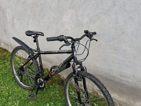 Adult bike - Main image