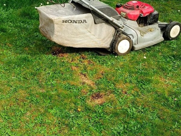 Lawnmower free - Main image