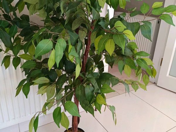 Artificial Floor Plant - Main image