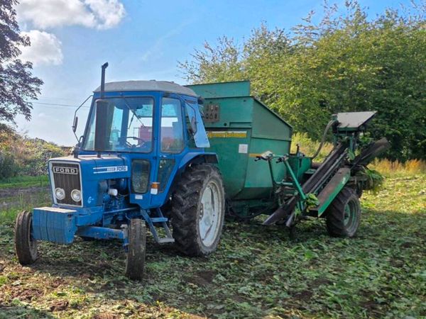 *** Sugar Beet for sale *** - Main image