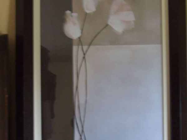 PICTURE - Main image