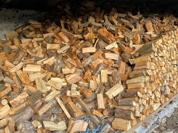 Firewood - Main image