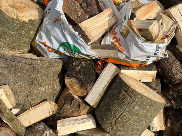 Firewood - Main image