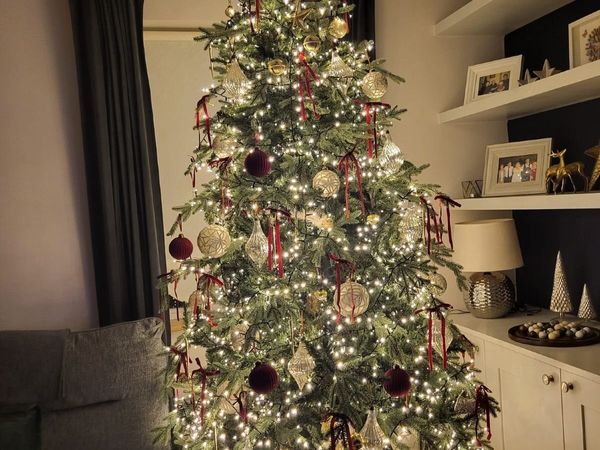 Christmas tree - Main image