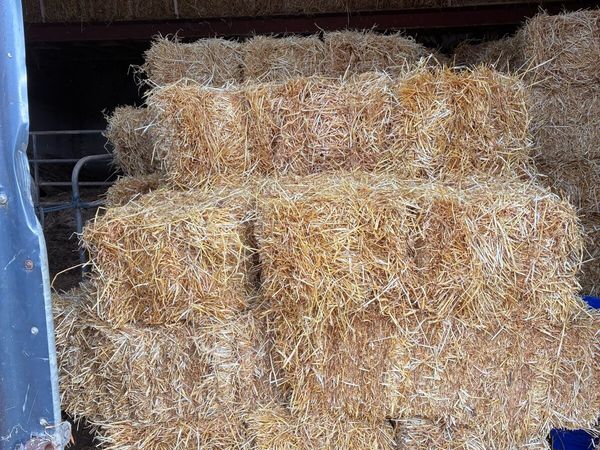 Straw - Main image
