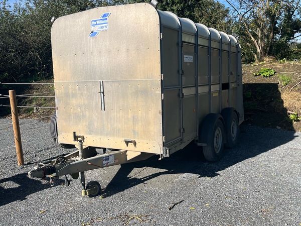Immaculate 12 by6 Ivor Williams trailer - Main image