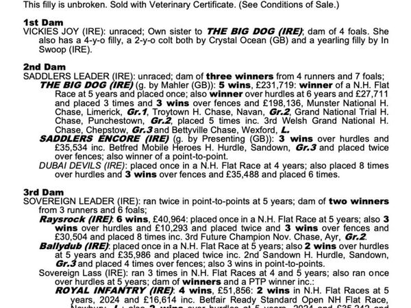CRYSTAL OCEAN FILLY – RACING OR BROODMARE PROSPECT - Main image