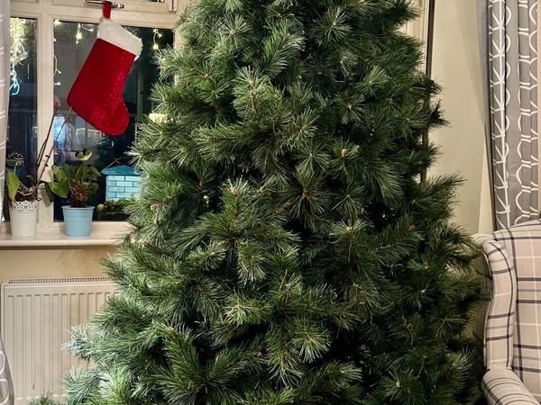 Christmas tree - Main image